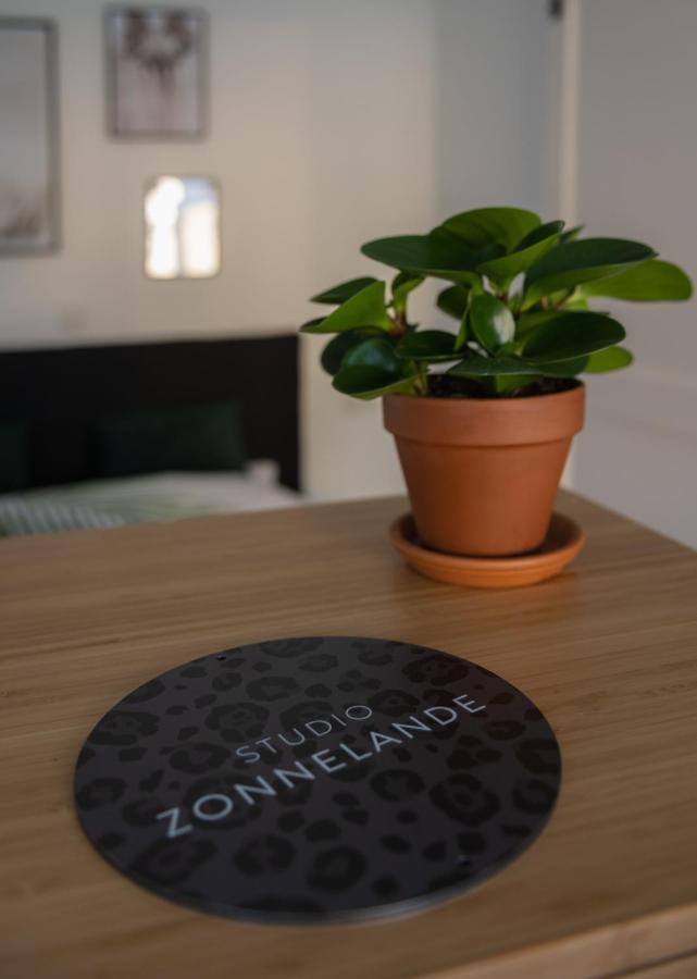 Zonnelande - Comfort Studio زوتلاند المظهر الخارجي الصورة